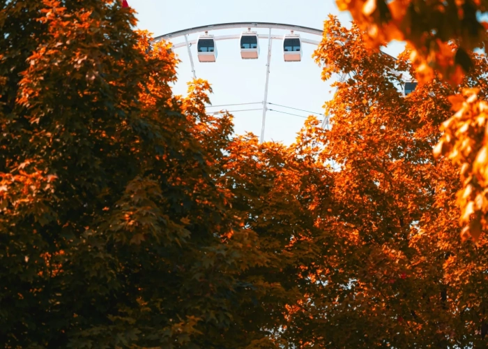 Juan rojas 3ux7 N Ir W00 unsplash 1